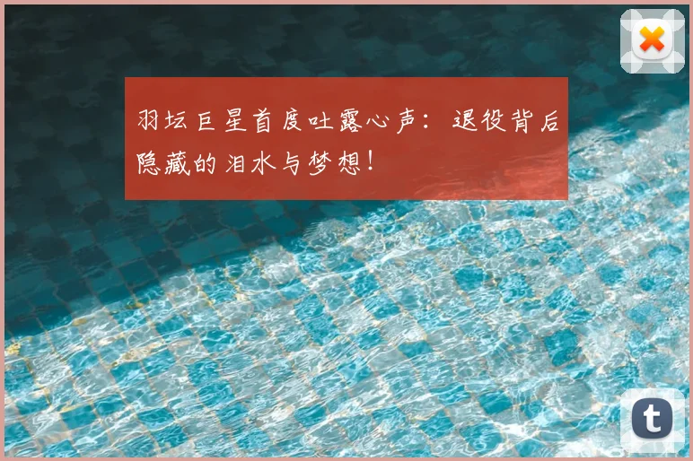 羽坛巨星首度吐露心声：退役背后隐藏的泪水与梦想！