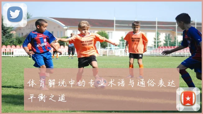 体育解说中的专业术语与通俗表达平衡之道