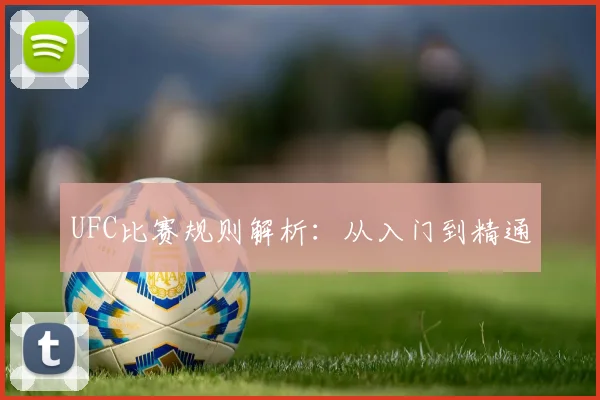 UFC比赛规则解析：从入门到精通