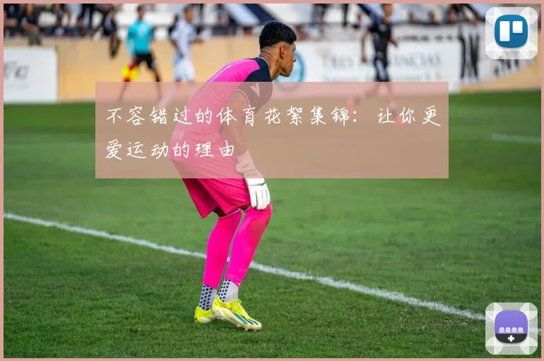不容错过的体育花絮集锦：让你更爱运动的理由