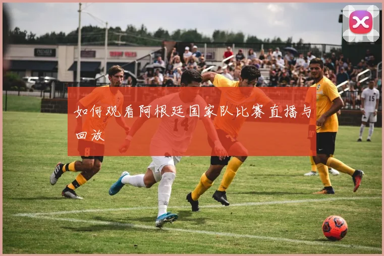 如何观看阿根廷国家队比赛直播与回放