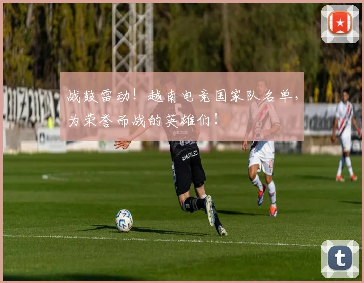战鼓雷动!越南电竞国家队名单,为荣誉而战的英雄们!
