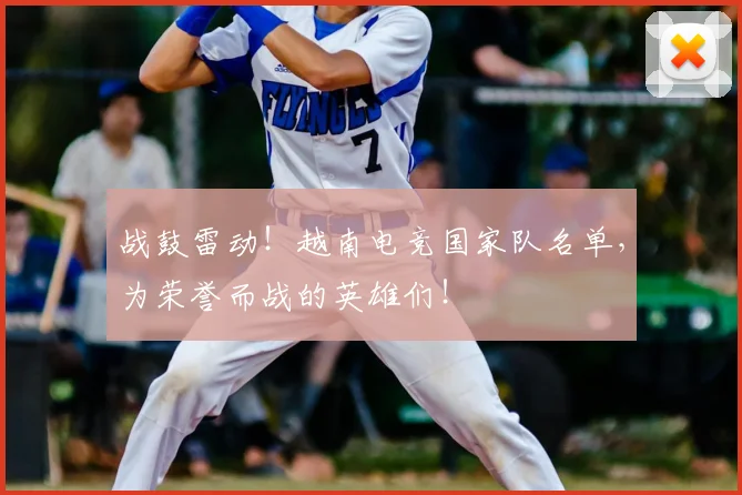 战鼓雷动!越南电竞国家队名单,为荣誉而战的英雄们!
