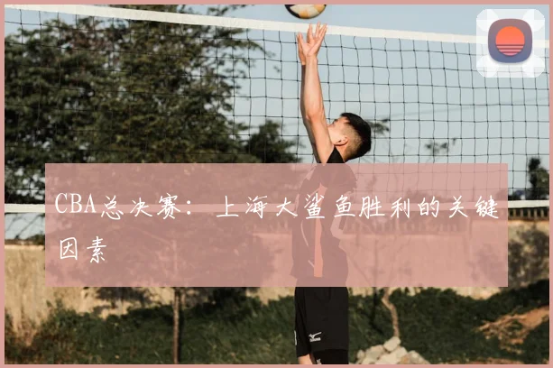 CBA总决赛：上海大鲨鱼胜利的关键因素