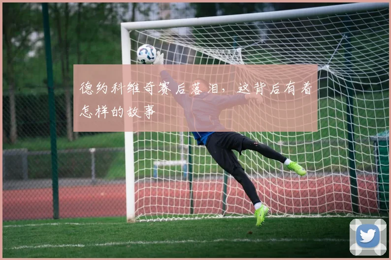 德约科维奇赛后落泪，这背后有着怎样的故事