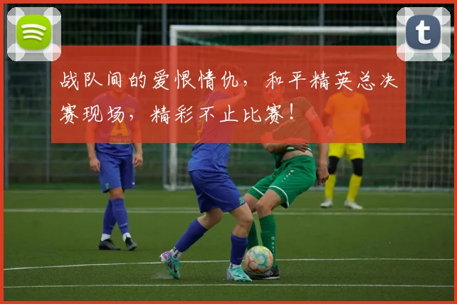 战队间的爱恨情仇,和平精英总决赛现场,精彩不止比赛!