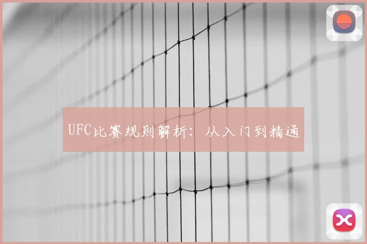 UFC比赛规则解析：从入门到精通