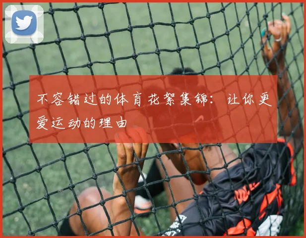 不容错过的体育花絮集锦：让你更爱运动的理由