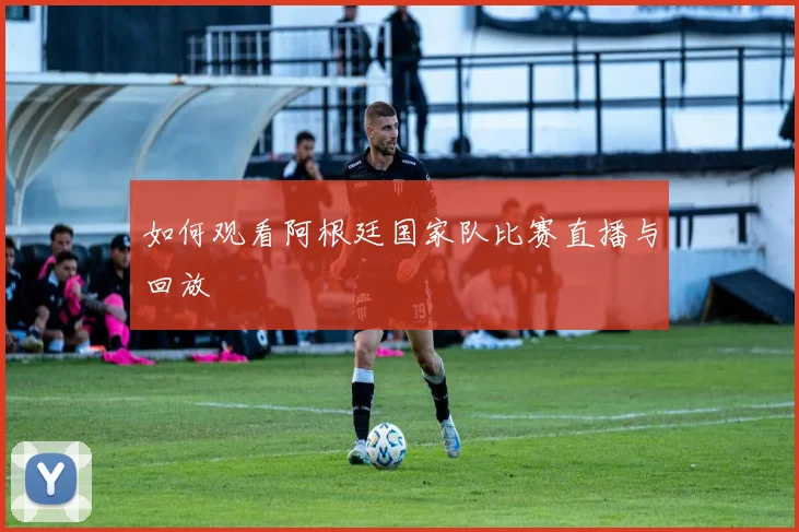 如何观看阿根廷国家队比赛直播与回放